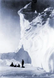 Equipo de perros descansando durante la Expedición Terra Nova, 1910